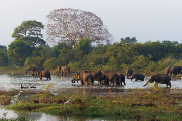 SRI LANKA